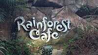 The logo of the Rainforest Cafe at Disney's Animal Kingdom in Bay Lake, Florida, on January 12, 2018.
