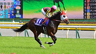 <span class="mw-page-title-main">Real Steel (horse)</span> Japanese-bred Thoroughbred racehorse