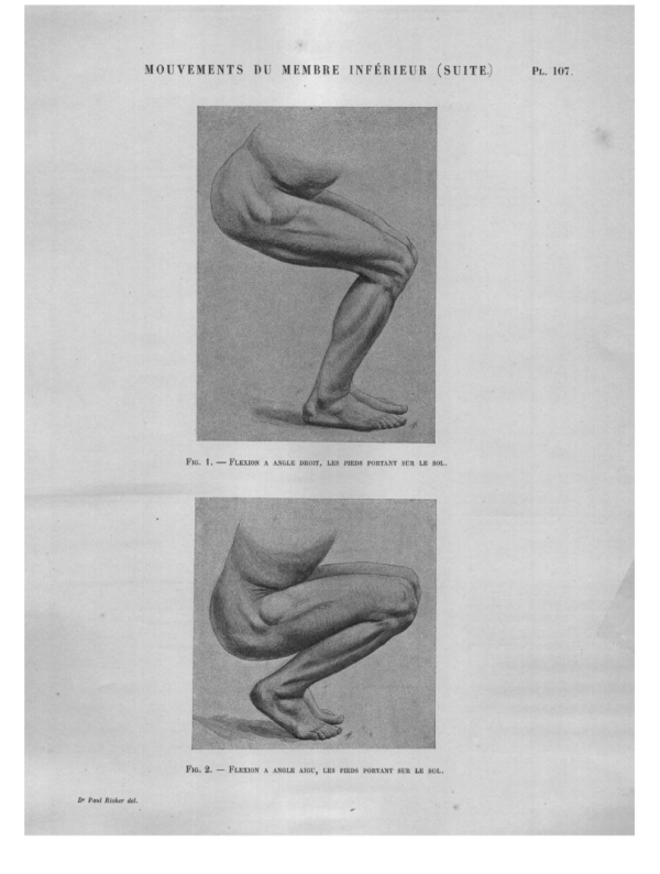 MOUVEMENTS MEMBRE INFÉRIEUR (SUITE) Pl. 107