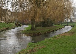 River Churn, Cirencester - geograf.org.uk - 696822.jpg