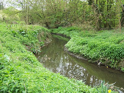 River Pinn