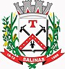 Salinasbrasao.jpg