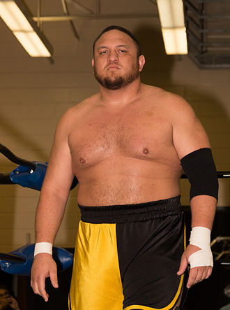 330px-Samoa_Joe_at_Smash_2015.jpg