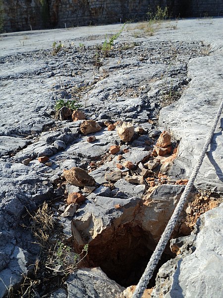 File:Sauropod Tracks, Pedreira do Galinha (8089794852).jpg