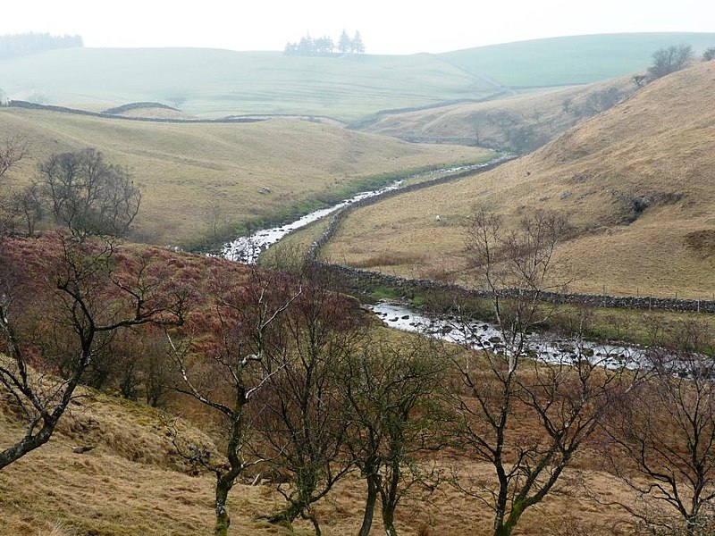 File:Scandal Beck - geograph.org.uk - 2342031.jpg