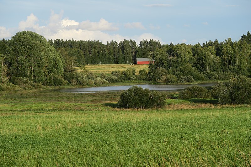 File:Setälänlammi.jpg