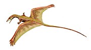 Miniatura per Sharovipteryx mirabilis