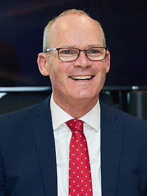 Simon Coveney: Irish Fine Gael politician (b. 1972)