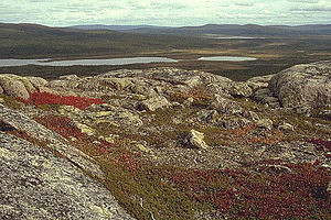 Naturreservat Sjaunja: Natur, Nutzung, Tourismus