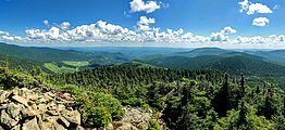 Des montagnes boisées