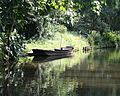 Ein Kahn im Spreewald