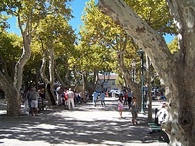 Illustrasjonsbilde av artikkelen Place des Lices (Saint-Tropez)