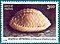 Stamp of India - 1998 - Colnect 161901 - Stippled Cowry Cypraea staphylea.jpeg