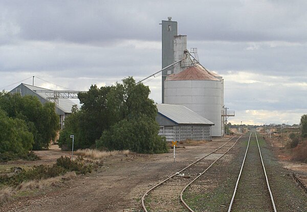 Silos and loop siding at Lake Boga