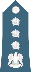 Syria Air Force - OF06.svg
