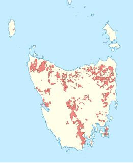 Sustainable Timber Tasmania