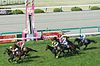 2010年度JRA代表馬に輝いたブエナビスタ（写真は2009年・阪神競馬場での桜花賞のゴールシーン） GFDL