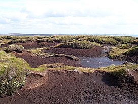 Puncak Sedikit Whernside - geograph.org.inggris - 404966.jpg