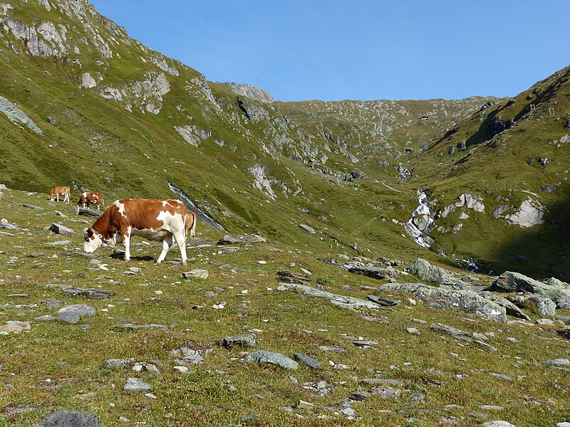 File:Timmeltal mit Eisseehütte 2020.jpg