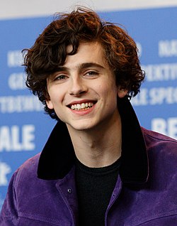 Timothée Chalamet Call Me By Your Name Press Conference Berlinale 2017 (cropped).jpg