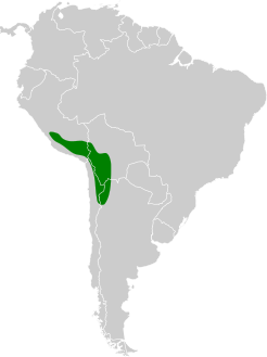 Tinamotis pentlandii map.svg