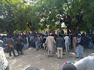 Jigawa: Tattalin Arziki, Faɗin Ƙasa da yawan Jamaa, Harsuna