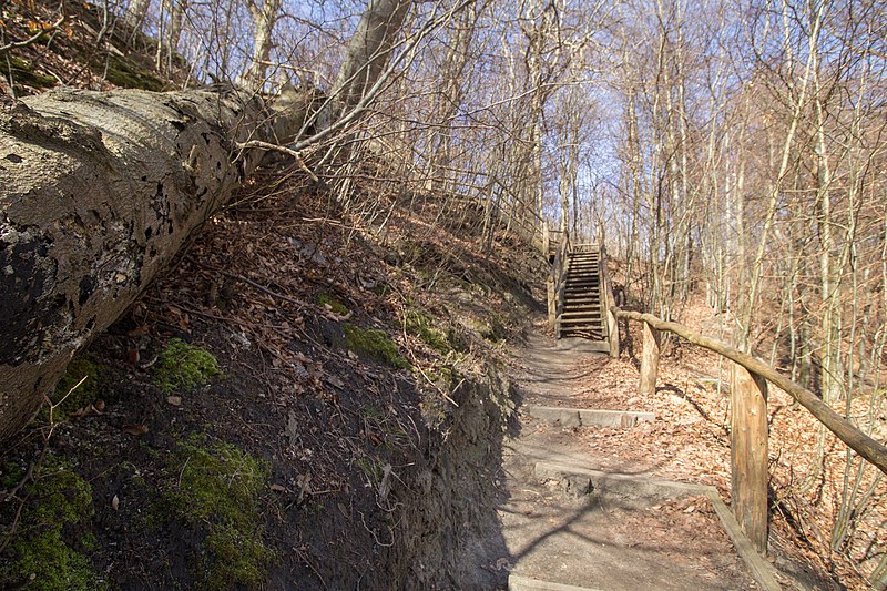 File:Treppe zum Gakower Ufer (Sassnitz, Rügen).jpg