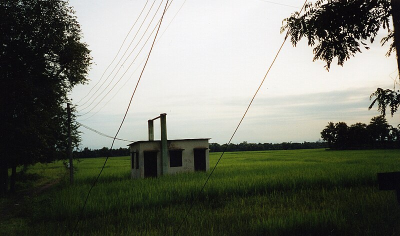 File:Tripura-ricefield295.jpg