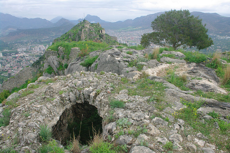 File:Turkish pine, Kozan Castle 03.JPG