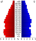 Age pyramid Yell County USA Yell County, Arkansas age pyramid.svg