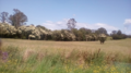 Landscape of Upper Rollands Plains New South Wales.