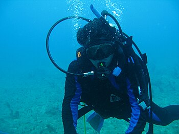 English: SCUBA diving Español: Buceo SCUBA