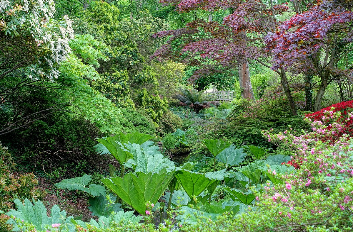 Main garden