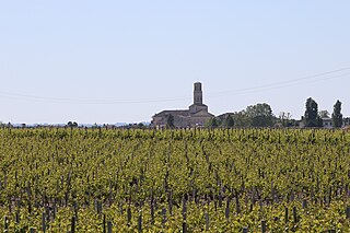 Weinbaugebiet Pauillac