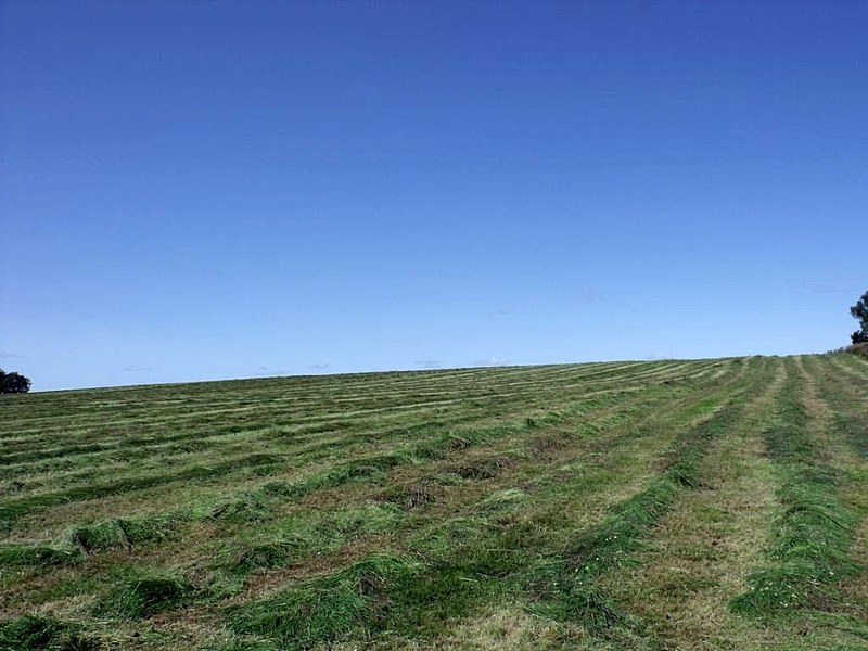 File:Whiteside, harvested field - geograph.org.uk - 2527672.jpg