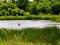 * Nomination An opening to a bikepath/creek --Scrumshus 05:22, 8 July 2007 (UTC) * Decline Not enough definition, possibly from too much detail in the landscape but not enough resolution (it's 5MP!) in the camera to capture it. The contrasty light accentuates this. Maybe it was just oversharpened in software. -- Ram-Man 12:36, 13 July 2007 (UTC)