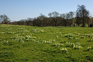 Ketford Bank Nature reserve in Gloucestershire, England