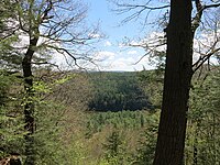 Wilgus State Park Pinnacle View.jpg