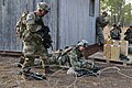 "Can Do" Soldiers conduct STX for China Focus 170119-A-GF301-077.jpg
