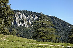 Öhler (1183 m above sea level)