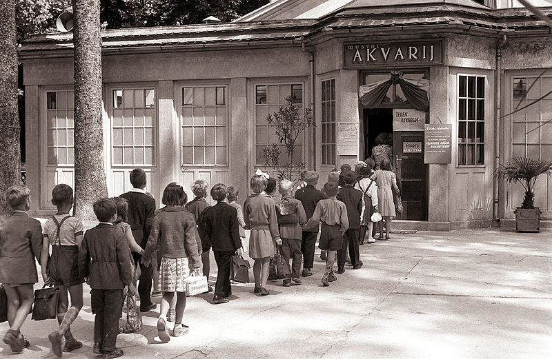 File:Šolarji na obisku v mariborskem Akvariju 1958.jpg