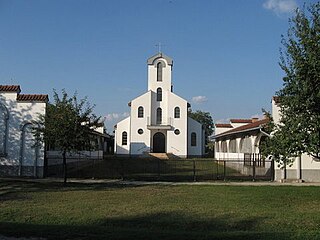 <span class="mw-page-title-main">Šušara</span> Village in Vojvodina, Serbia