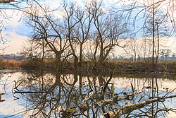 Živanické jezero