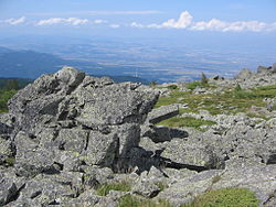 Камен Дел: връх във Витоша