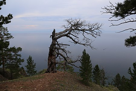 8. Утёс Скрипер: Западное побережье Байкала — IgorBakh