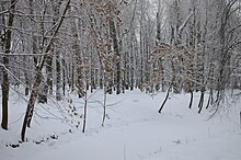 Парк имени Чекмана зимой. Хмельницкий. Фото 52.jpg