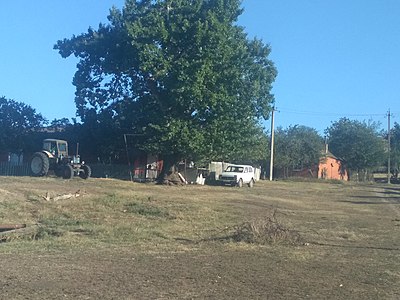 Погода в надтеречном районе село. Село Комарово Чеченская Республика. Село Комарово Надтеречный район Чеченской Республики. Надтеречный район село Горагорск. Чеченская Республика Надтеречный район Горагорск поселок.