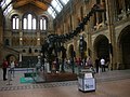 The main hall, Natural History Museum, London (1870–80)