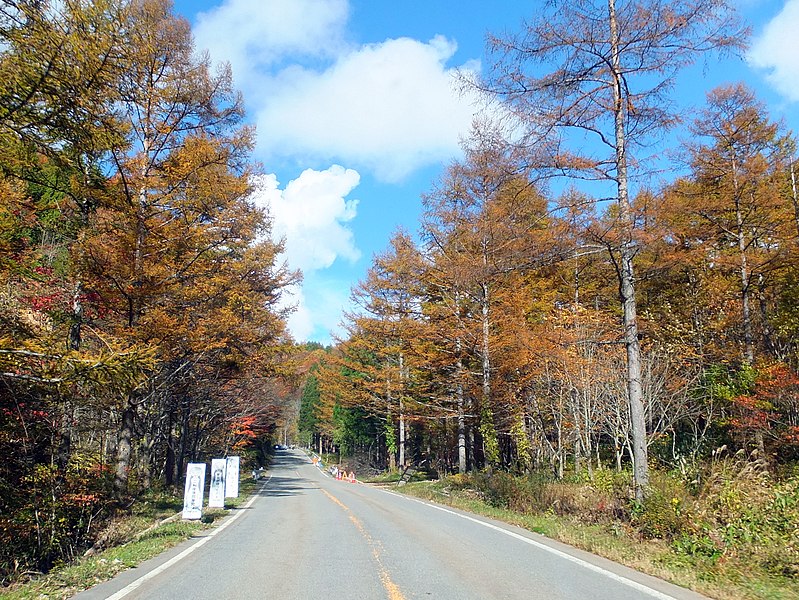 File:せせらぎ街道 - panoramio.jpg