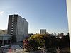 名古屋大学 - panoramio (26).jpg